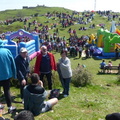 Cornites (214)